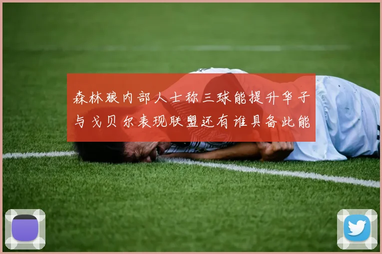 森林狼内部人士称三球能提升华子与戈贝尔表现联盟还有谁具备此能力