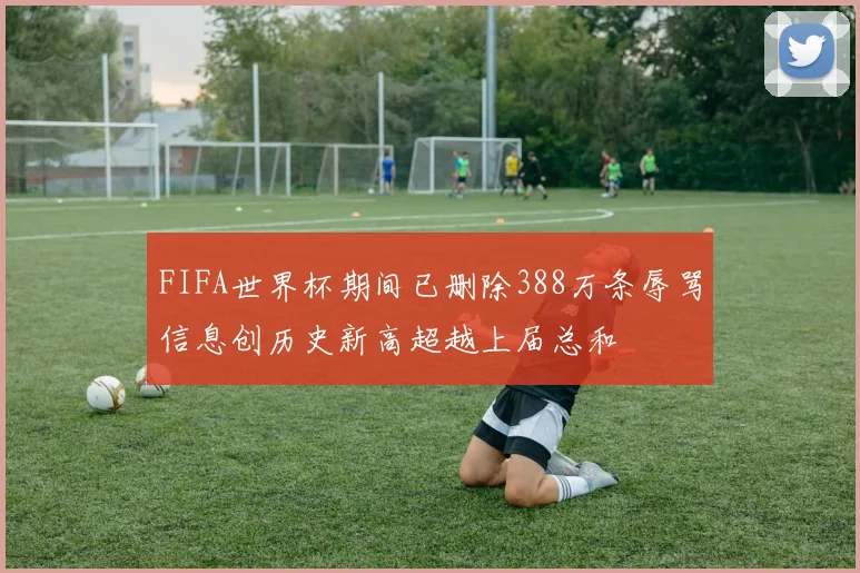 FIFA世界杯期间已删除388万条辱骂信息创历史新高超越上届总和